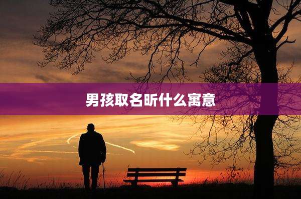 男孩取名昕什么寓意