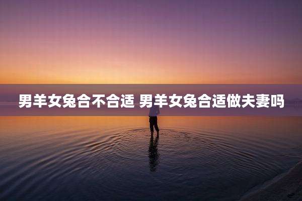 男羊女兔合不合适 男羊女兔合适做夫妻吗