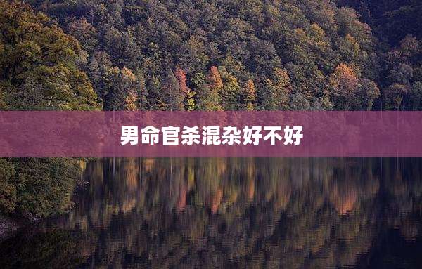 男命官杀混杂好不好