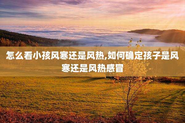怎么看小孩风寒还是风热,如何确定孩子是风寒还是风热感冒