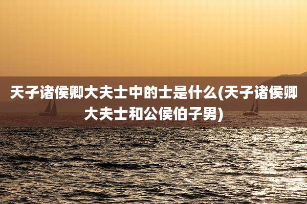天子诸侯卿大夫士中的士是什么(天子诸侯卿大夫士和公侯伯子男)