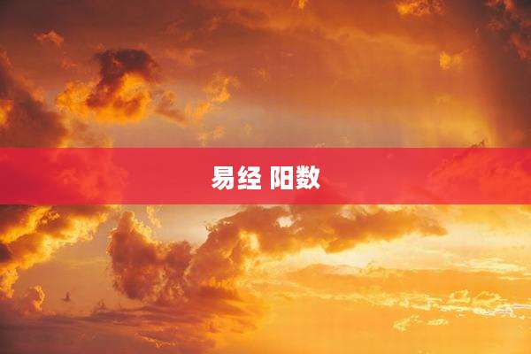 易经 阳数