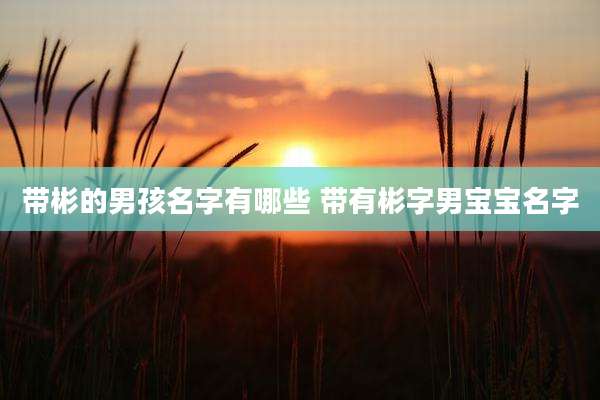 带彬的男孩名字有哪些 带有彬字男宝宝名字