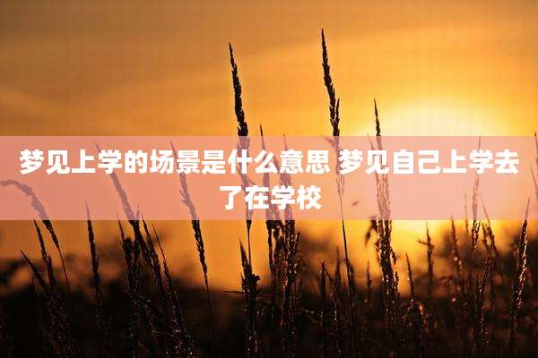 梦见上学的场景是什么意思 梦见自己上学去了在学校