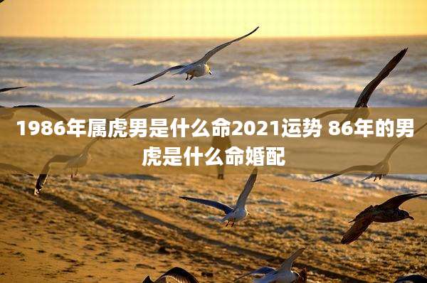 1986年属虎男是什么命2021运势 86年的男虎是什么命婚配