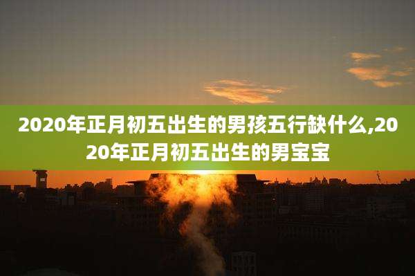 2020年正月初五出生的男孩五行缺什么,2020年正月初五出生的男宝宝
