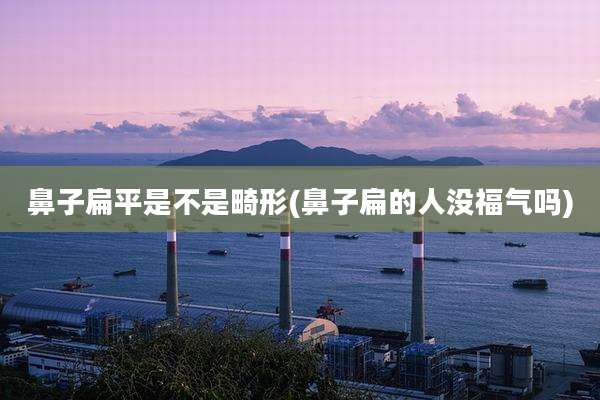 鼻子扁平是不是畸形(鼻子扁的人没福气吗)