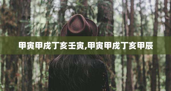 甲寅甲戌丁亥壬寅,甲寅甲戌丁亥甲辰