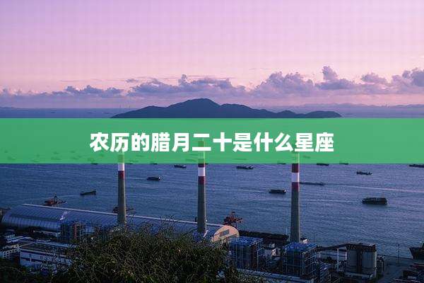 农历的腊月二十是什么星座