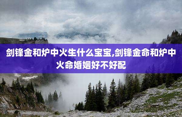 剑锋金和炉中火生什么宝宝,剑锋金命和炉中火命婚姻好不好配