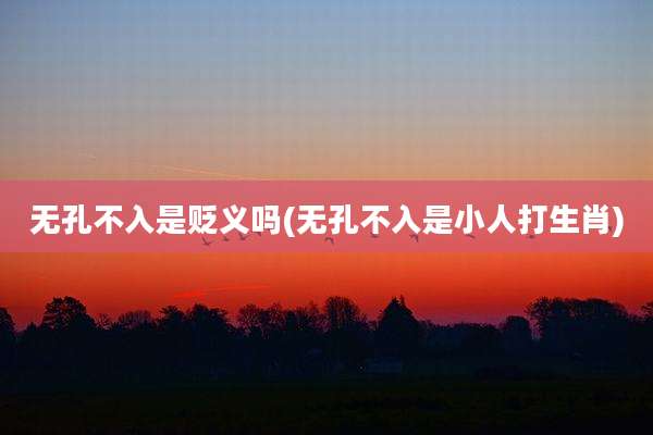无孔不入是贬义吗(无孔不入是小人打生肖)