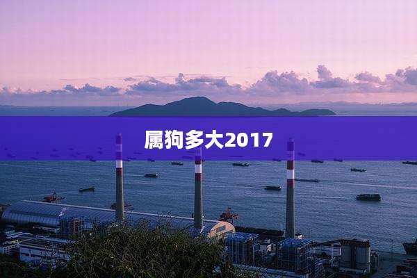 属狗多大2017