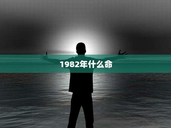 1982年什么命