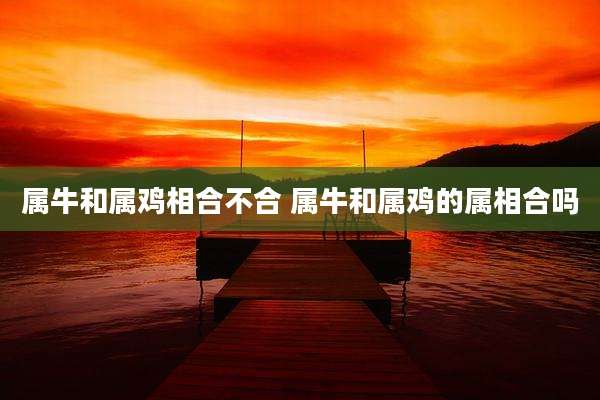 属牛和属鸡相合不合 属牛和属鸡的属相合吗
