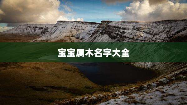 宝宝属木名字大全