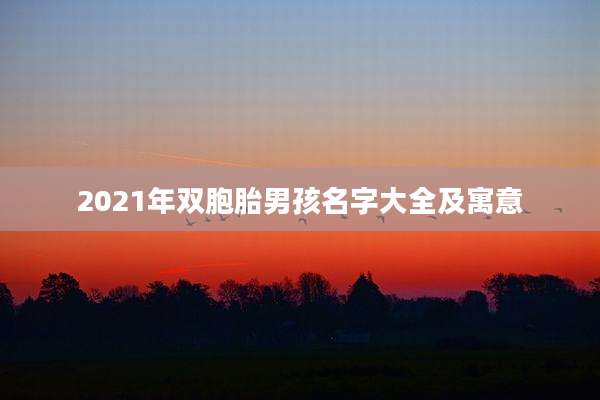 2021年双胞胎男孩名字大全及寓意