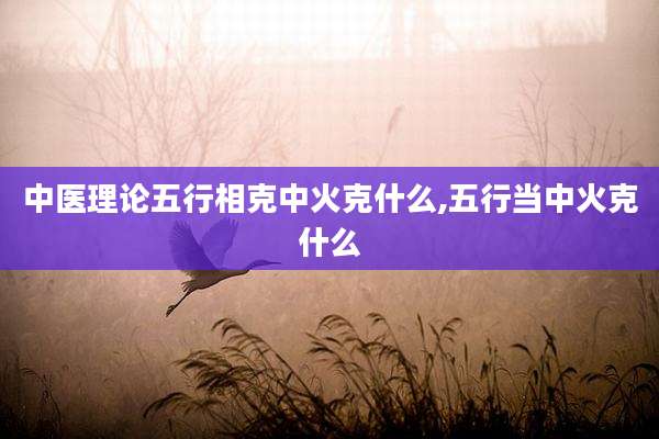 中医理论五行相克中火克什么,五行当中火克什么