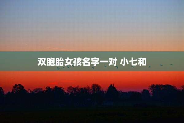 双胞胎女孩名字一对 小七和