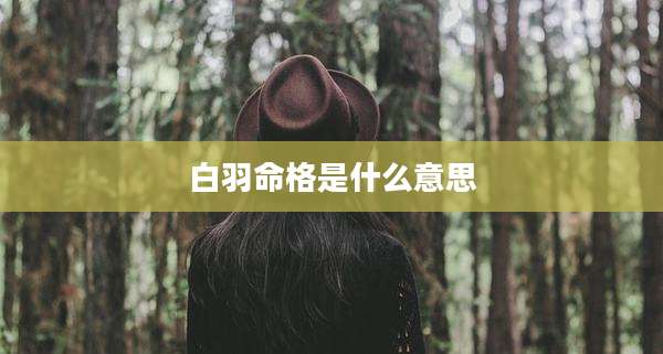 白羽命格是什么意思