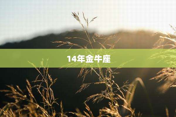 14年金牛座