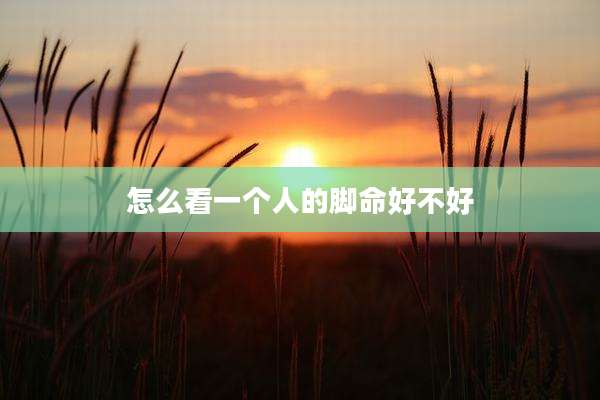 怎么看一个人的脚命好不好