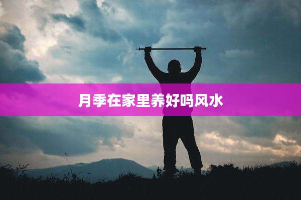 月季在家里养好吗风水