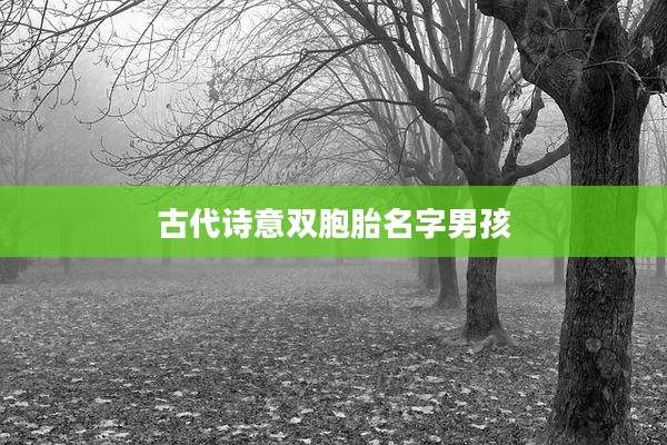 古代诗意双胞胎名字男孩
