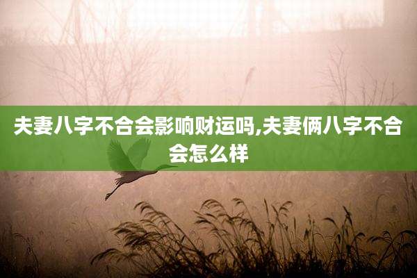夫妻八字不合会影响财运吗,夫妻俩八字不合会怎么样