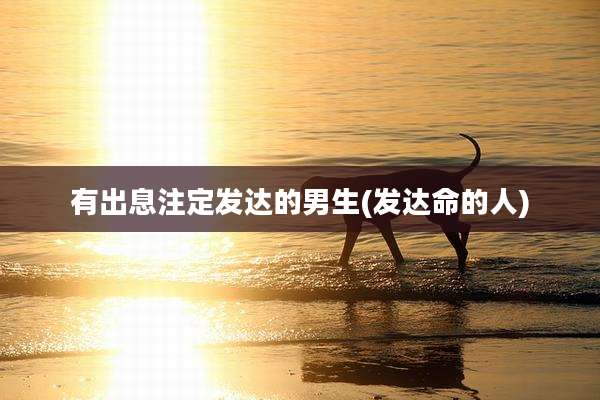有出息注定发达的男生(发达命的人)