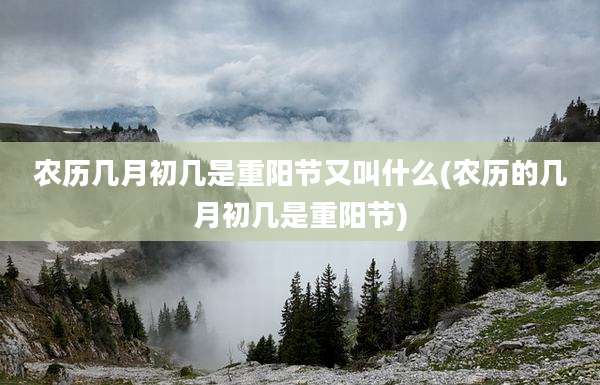 农历几月初几是重阳节又叫什么(农历的几月初几是重阳节)