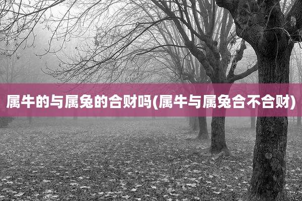 属牛的与属兔的合财吗(属牛与属兔合不合财)