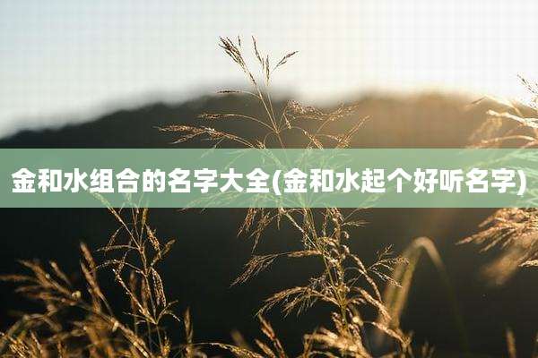 金和水组合的名字大全(金和水起个好听名字)