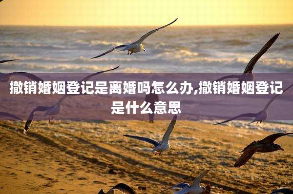 撤销婚姻登记是离婚吗怎么办,撤销婚姻登记是什么意思