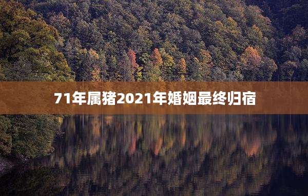 71年属猪2021年婚姻最终归宿