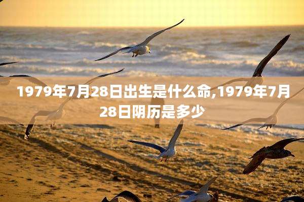 1979年7月28日出生是什么命,1979年7月28日阴历是多少