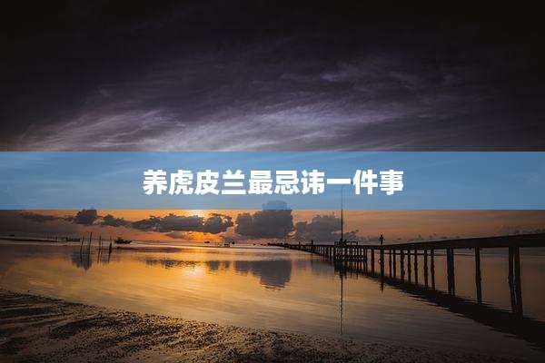 养虎皮兰最忌讳一件事