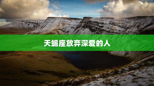 天蝎座放弃深爱的人