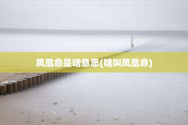 凤凰命是啥意思(啥叫凤凰命)