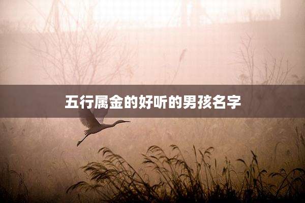 五行属金的好听的男孩名字