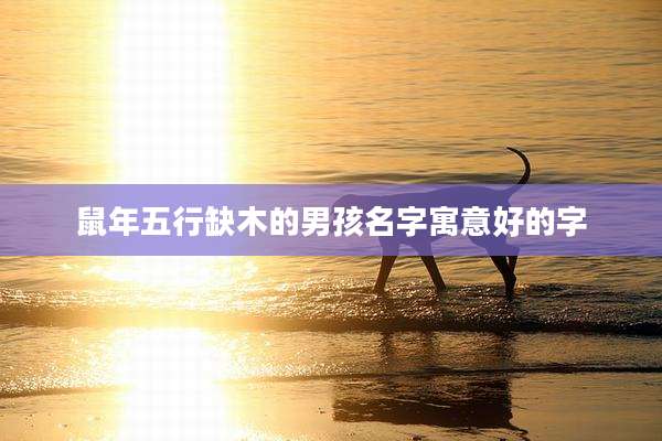 鼠年五行缺木的男孩名字寓意好的字