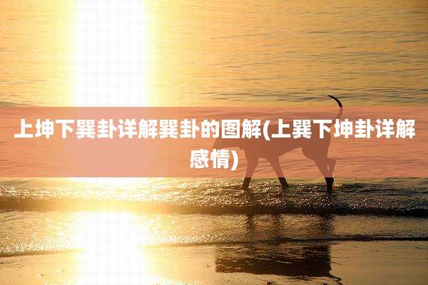 上坤下巽卦详解巽卦的图解(上巽下坤卦详解感情)