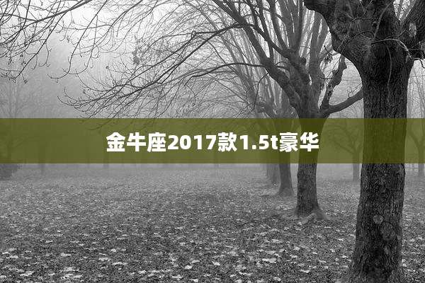 金牛座2017款1.5t豪华
