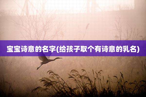 宝宝诗意的名字(给孩子取个有诗意的乳名)