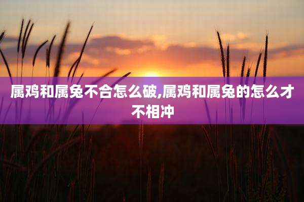 属鸡和属兔不合怎么破,属鸡和属兔的怎么才不相冲