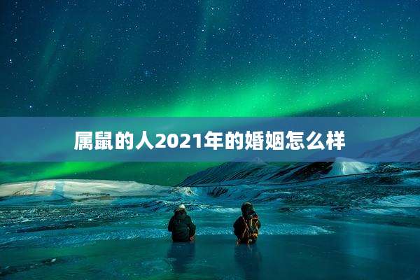 属鼠的人2021年的婚姻怎么样
