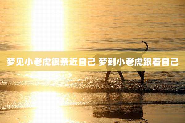 梦见小老虎很亲近自己 梦到小老虎跟着自己