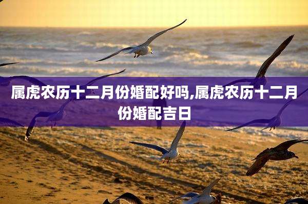 属虎农历十二月份婚配好吗,属虎农历十二月份婚配吉日