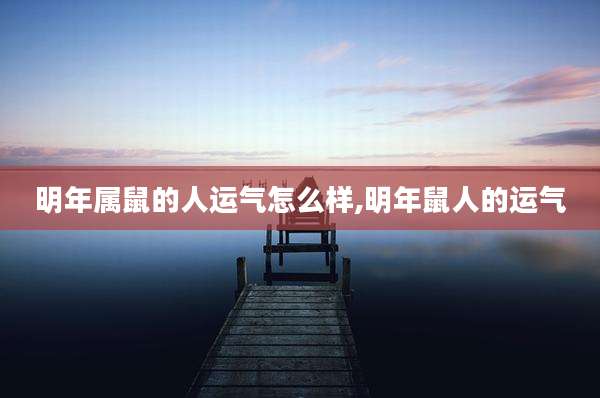 明年属鼠的人运气怎么样,明年鼠人的运气