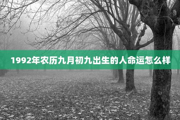 1992年农历九月初九出生的人命运怎么样