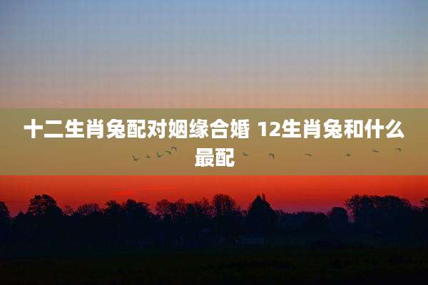 十二生肖兔配对姻缘合婚 12生肖兔和什么最配